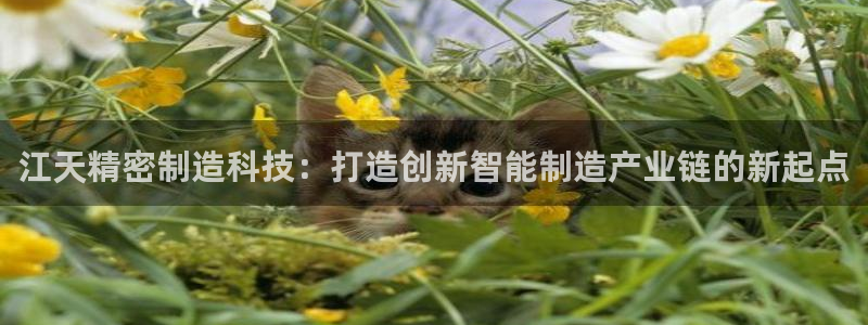 彩神vip购彩大厅：江天精密制造科技：打造创新智能制造产业链的新起点