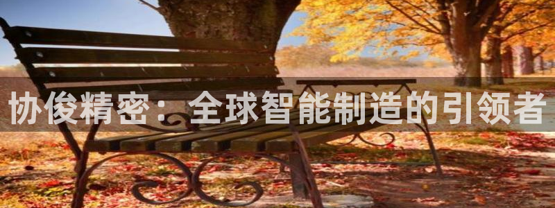 彩神8购彩-购彩大厅：协俊精密：全球智能制造的引领者