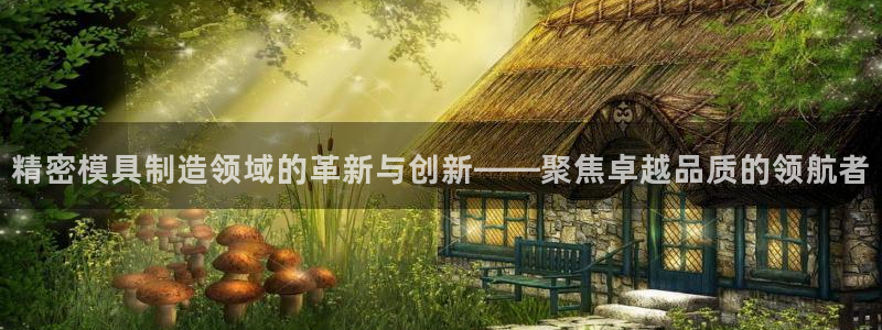 彩神Vii购彩-购彩大厅：精密模具制造领域的革新与创新——聚焦卓越品质的领航者