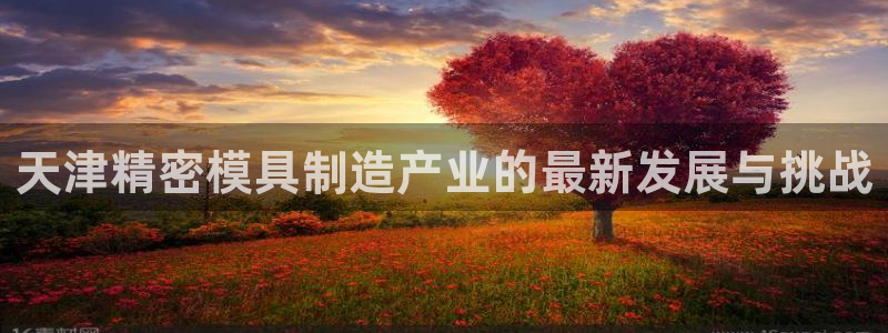 彩神VI首页：天津精密模具制造产业的最新发展与挑战