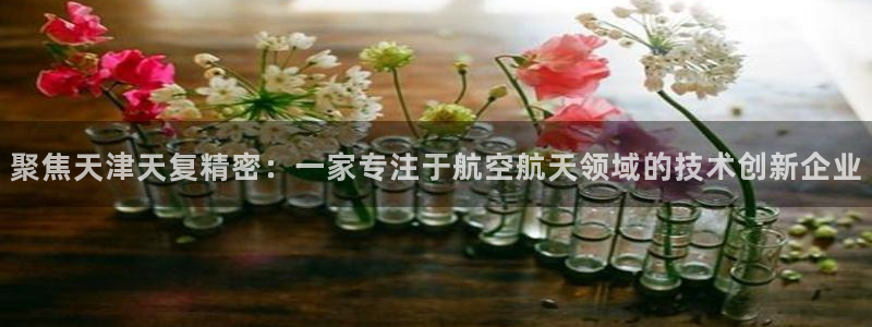 彩神v1官网：聚焦天津天复精密：一家专注于航空航天领域的技术创新企业