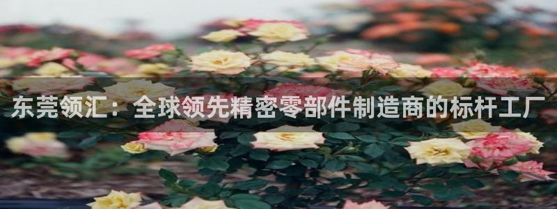 彩神vip购彩大厅在哪：东莞领汇：全球领先精密零部件制造商的标杆工厂