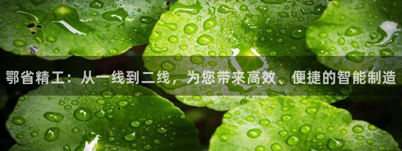 彩神vip购彩