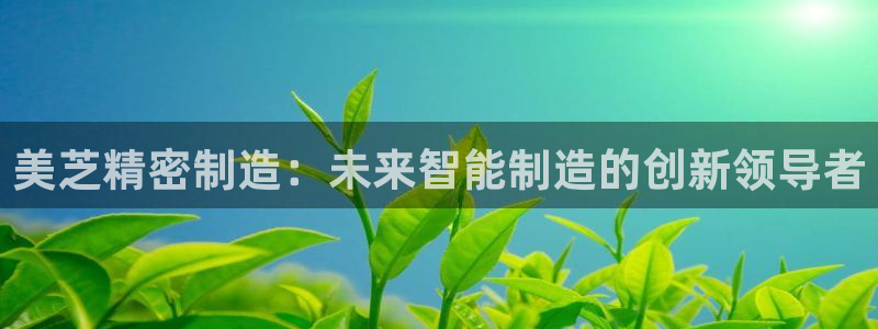 所有彩神购买首页都一样吗