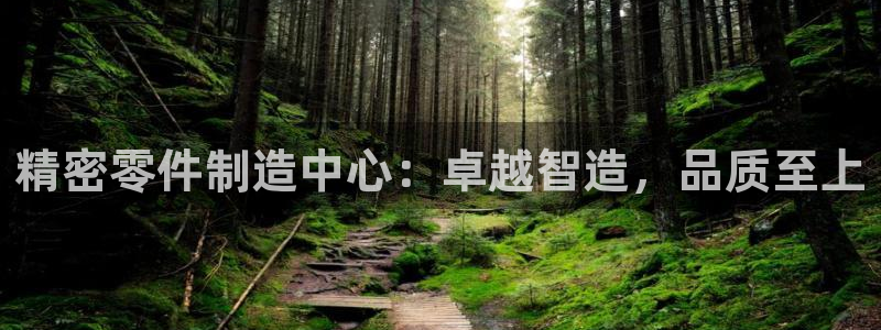 彩神v8首页：精密零件制造中心：卓越智造，品质至上