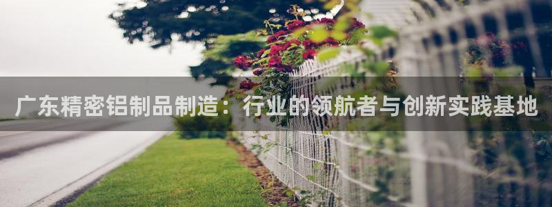 彩神8软件下载：广东精密铝制品制造：行业的领航者与创新实践基地