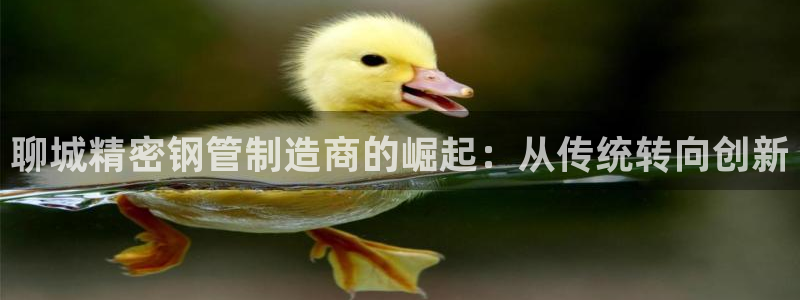 彩神这个平台是真的吗：聊城精密钢管制造商的崛起：从传统转向创新