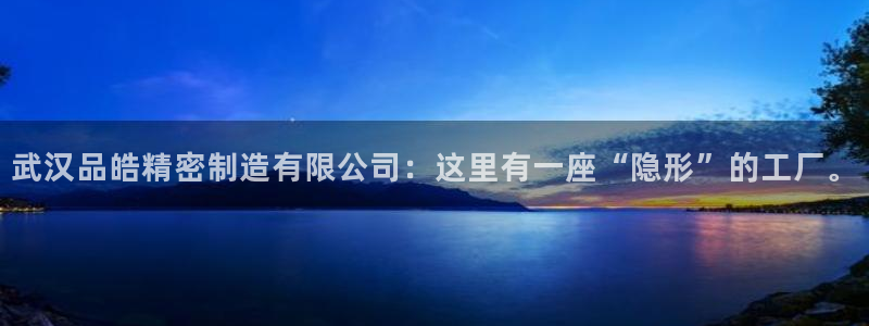 彩神viii是正规平