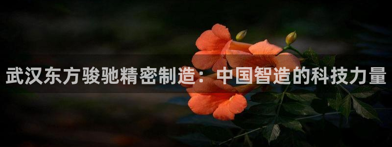 彩神购彩-购彩大厅入口下载
