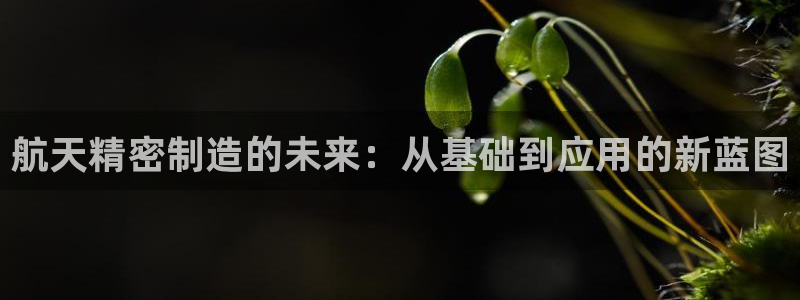 彩神vl官网