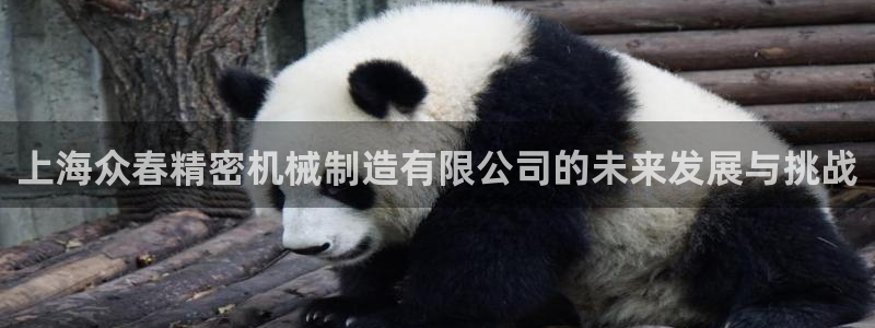 彩神旗下有哪些平台可以看：上海众春精密机械制造有限公司的未来发展与挑战