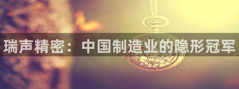 彩神v下载安装：瑞声精密：中国制造业的隐形冠军
