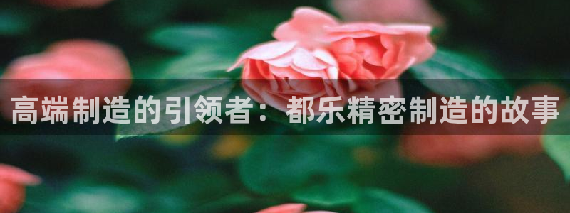 彩神是正规平台吗安全